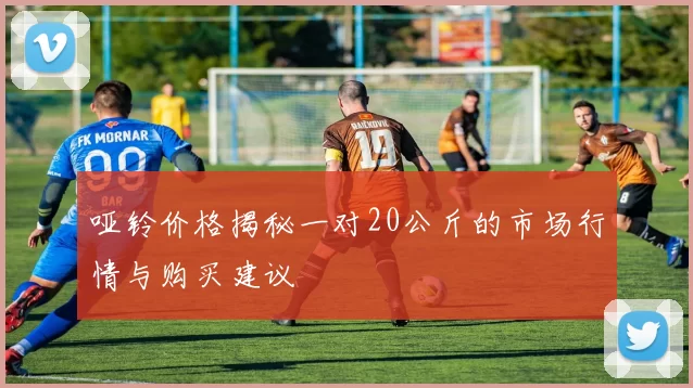 哑铃价格揭秘一对20公斤的市场行情与购买建议