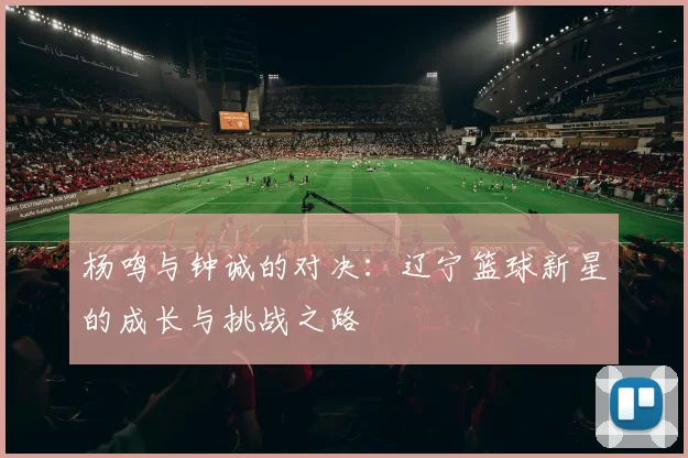 杨鸣与钟诚的对决：辽宁篮球新星的成长与挑战之路