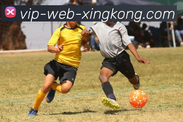 XINGKONG发展历程