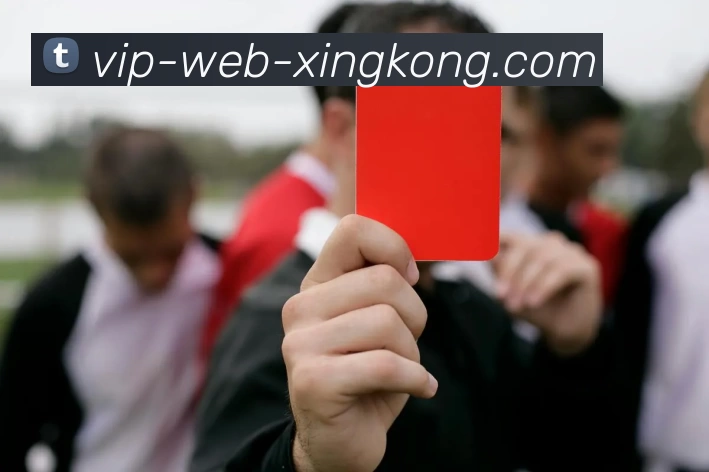 XINGKONG服务体系